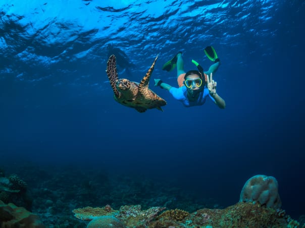 Mauritius & Seychelles